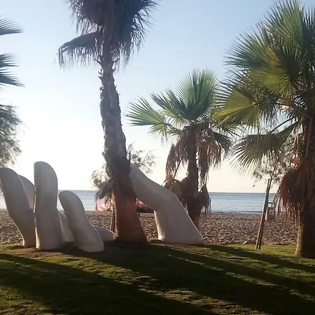 阿利吉里住宿加早餐旅馆 3* 丰希罗拉